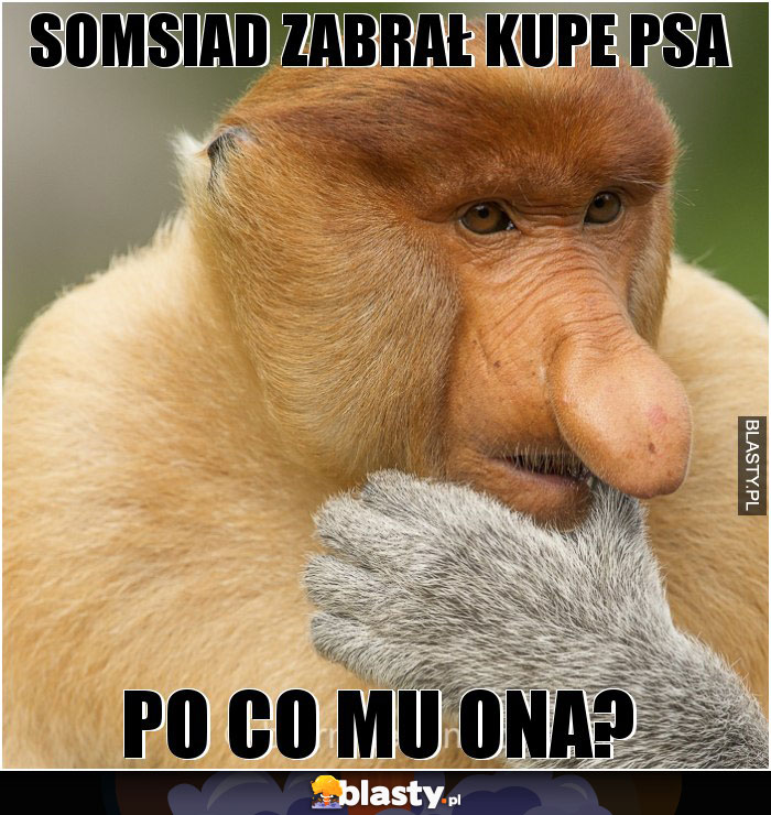 Somsiad zabrał kupe psa