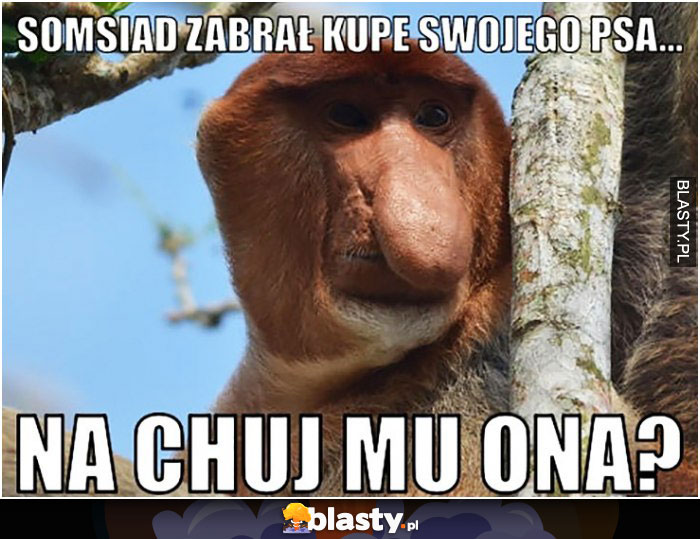 Somsiad zabrał kupe swojego psa