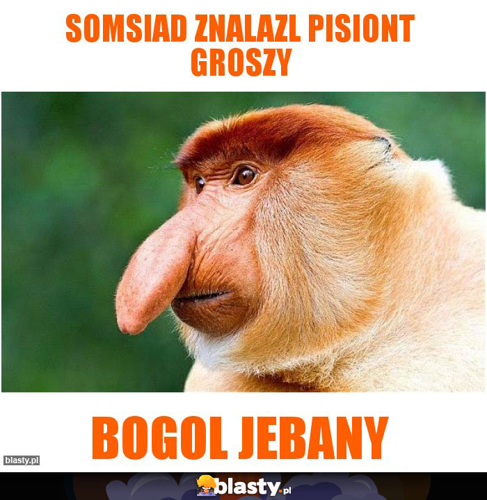 Somsiad znalazl pisiont groszy Somsiad znalazl pisiont groszy