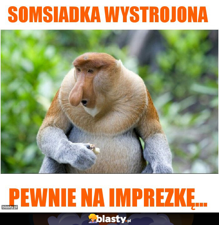 somsiadka wystrojona