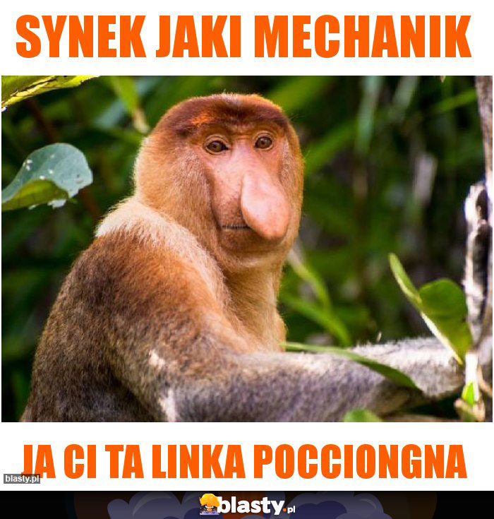Synek jaki mechanik Synek jaki mechanik