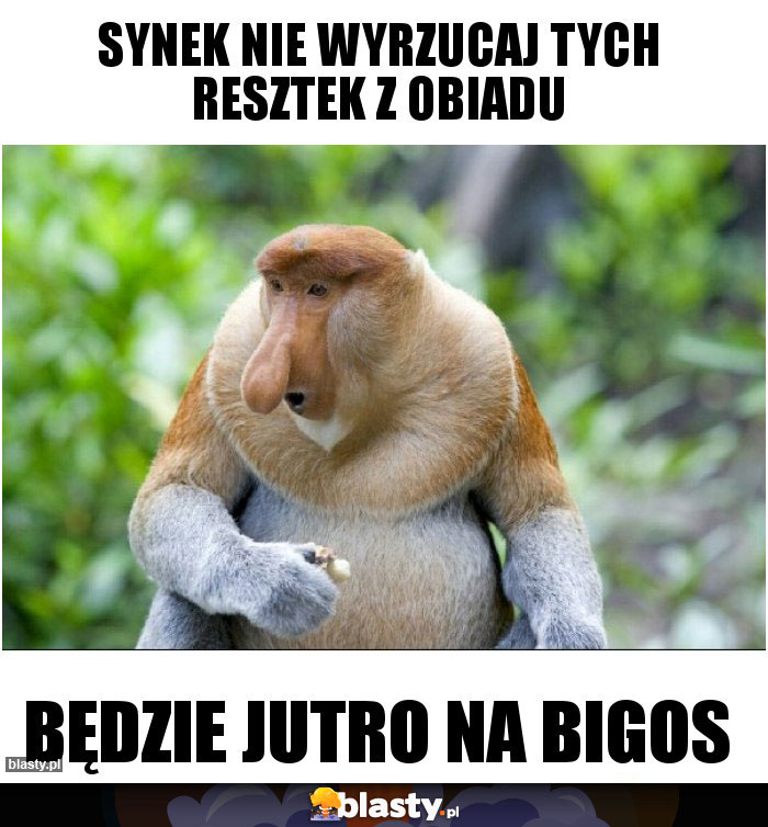 Synek nie wyrzucaj tych resztek z obiadu Synek nie wyrzucaj tych resztek z obiadu