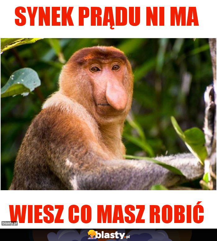 Synek prądu ni ma