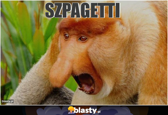 Szpagetti
