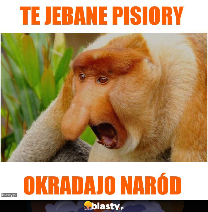 TE JEBANE PISIORY TE JEBANE PISIORY
