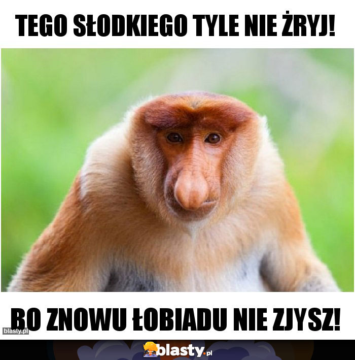 Tego słodkiego tyle nie żryj!