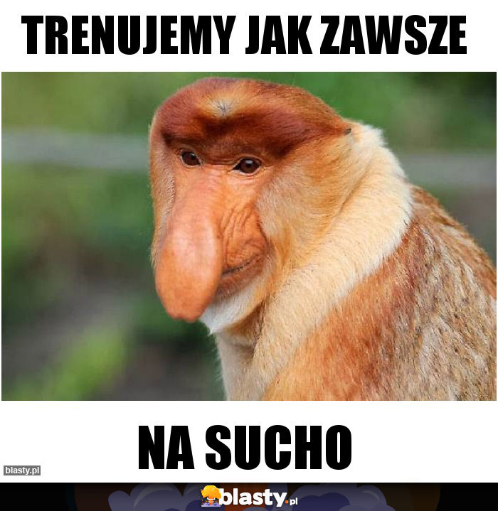 trenujemy jak zawsze