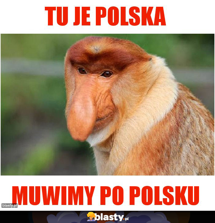 Tu Je Polska Tu Je Polska