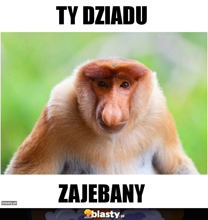 Ty dziadu