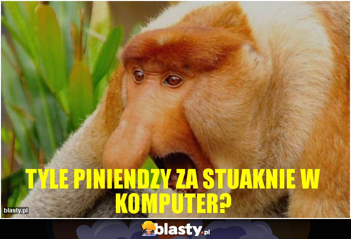 tyle piniendzy za stuaknie w komputer? tyle piniendzy za stuaknie w komputer?