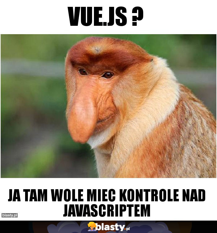 Vue.js ?