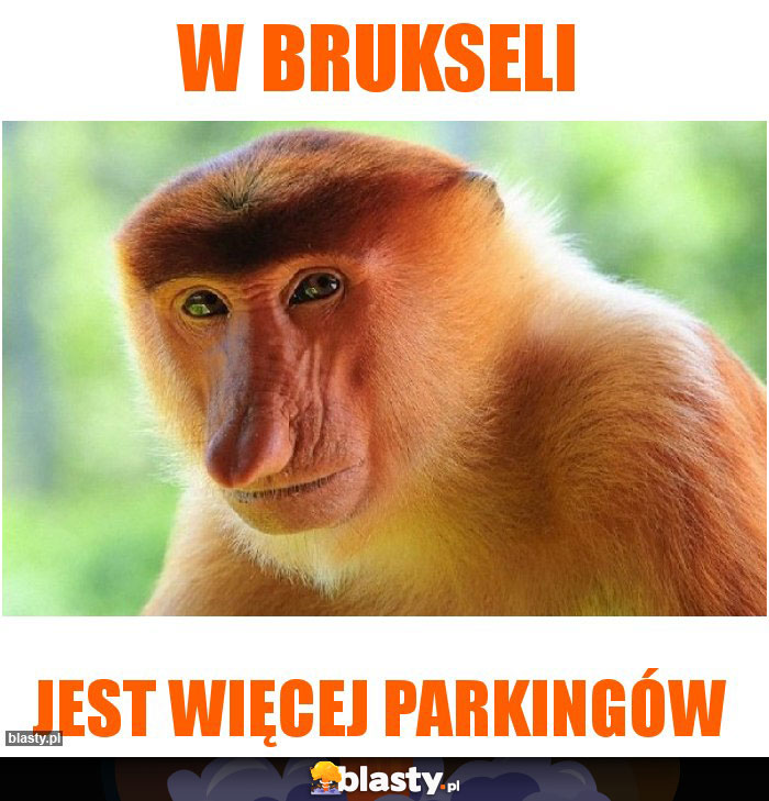 W Brukseli