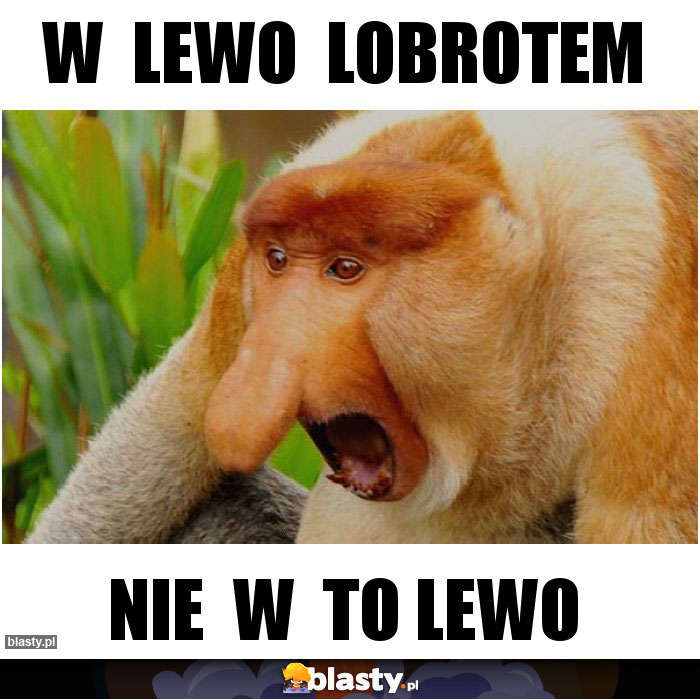 w  lewo  lobrotem
