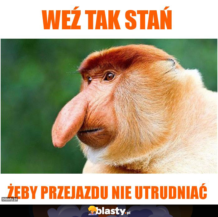 Weź tak stań