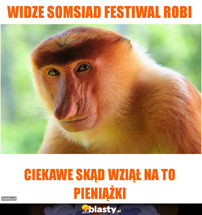 widze somsiad festiwal robi