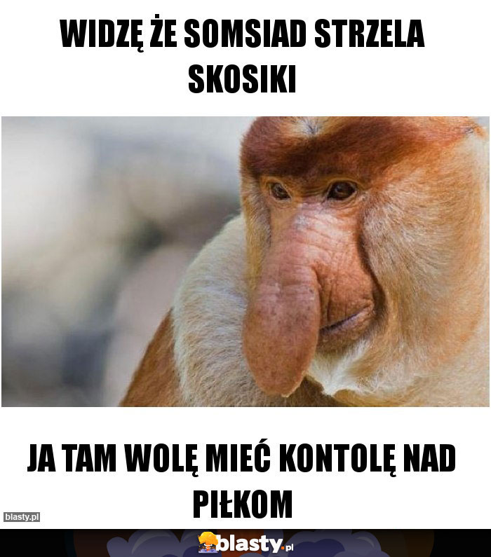 Widzę że somsiad strzela skosiki