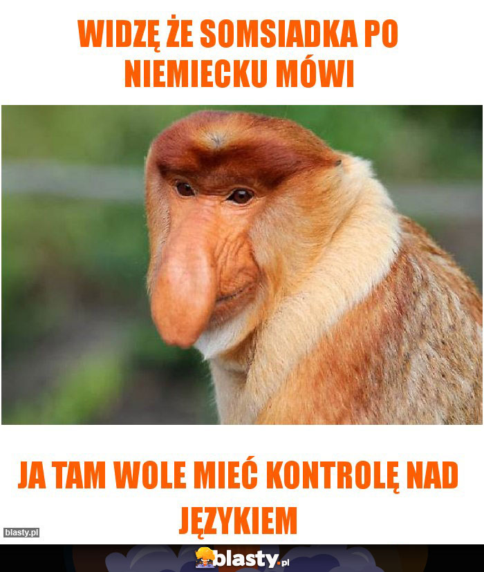 Widzę że somsiadka po niemiecku mówi