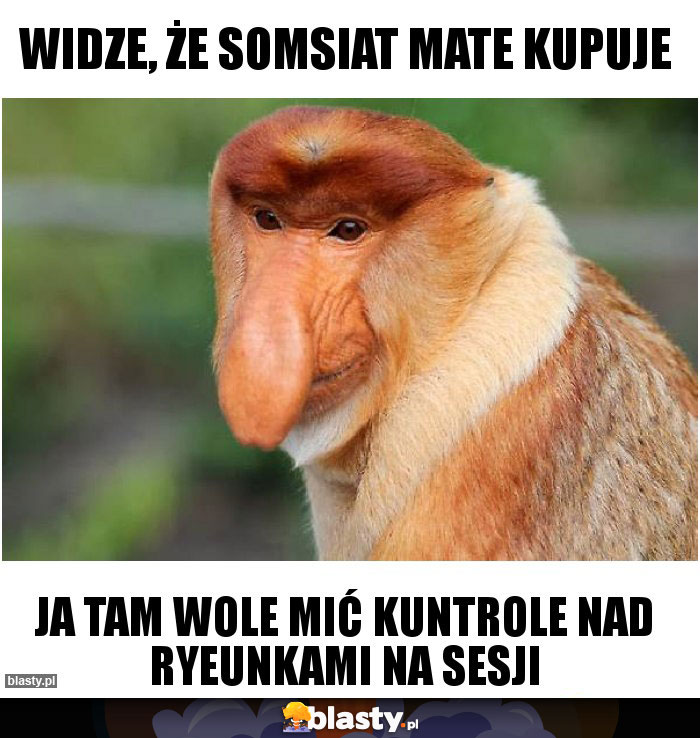 Widze, że somsiat mate kupuje