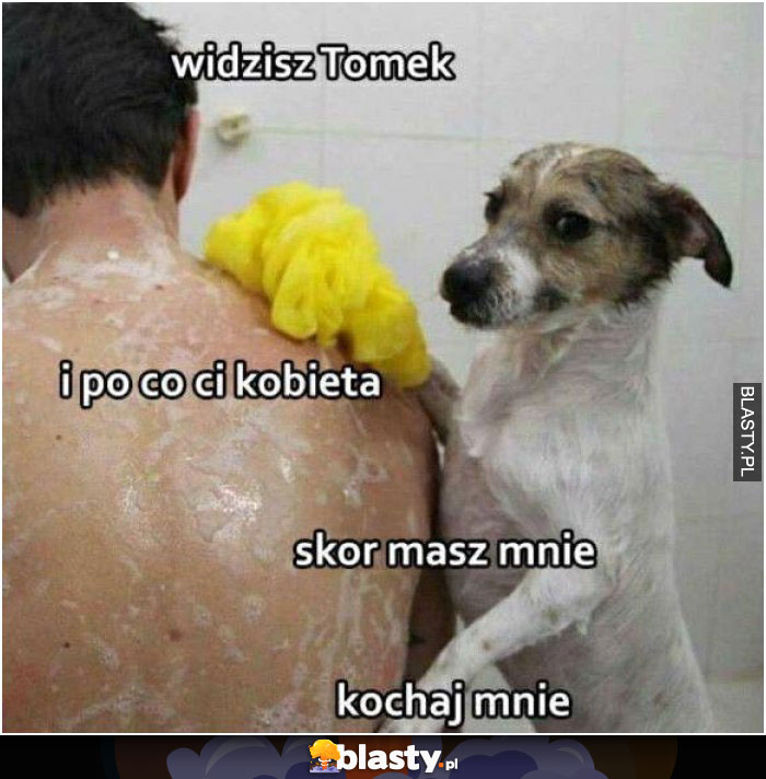 Widzisz tomek i po co Ci kobieta