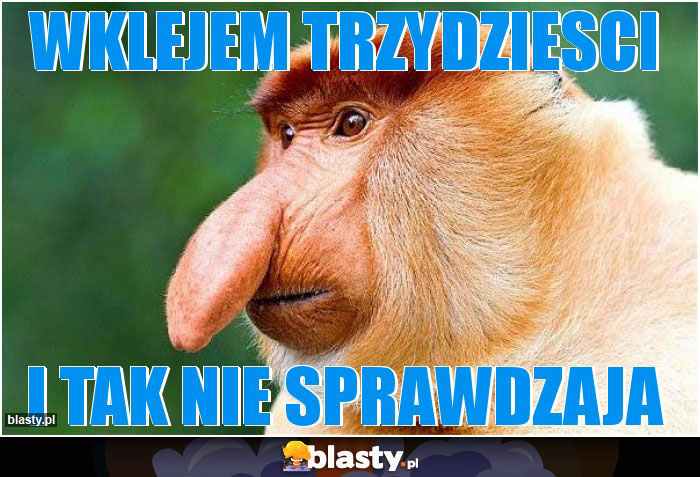 WKLEJEM TRZYDZIESCI