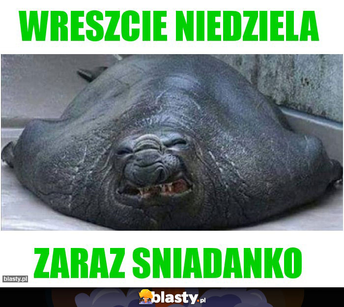 Wreszcie niedziela