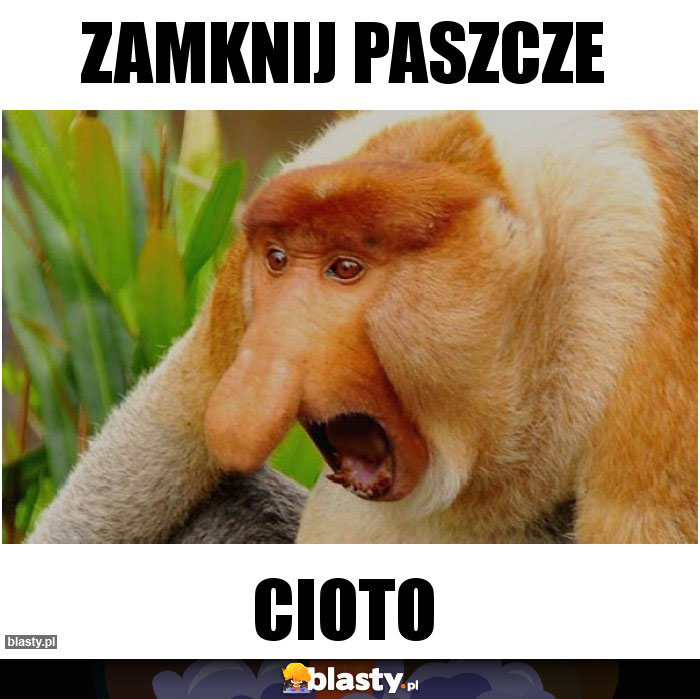 Zamknij paszcze
