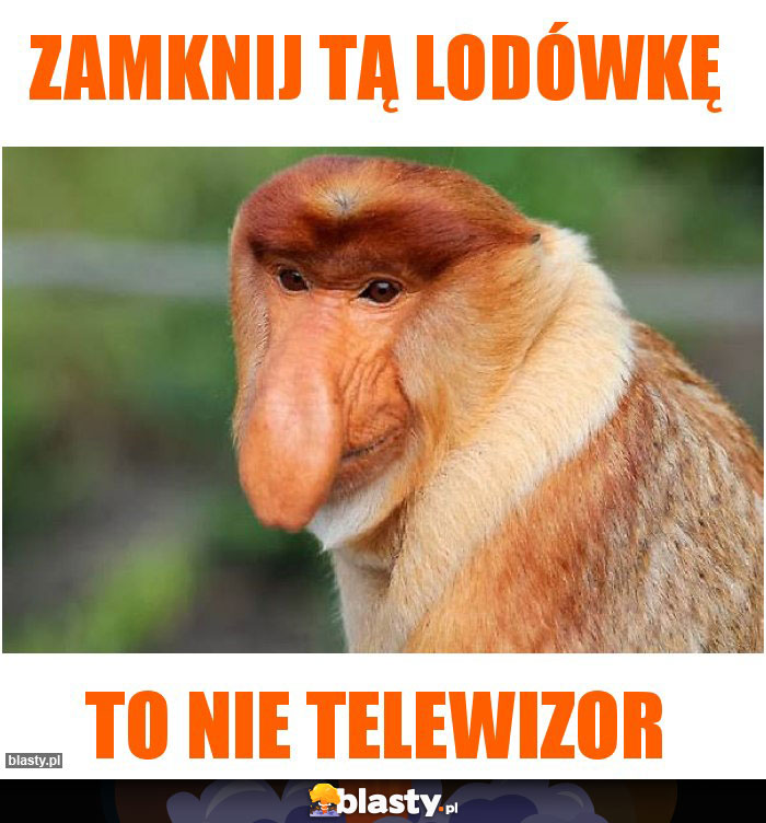 Zamknij tą lodówkę