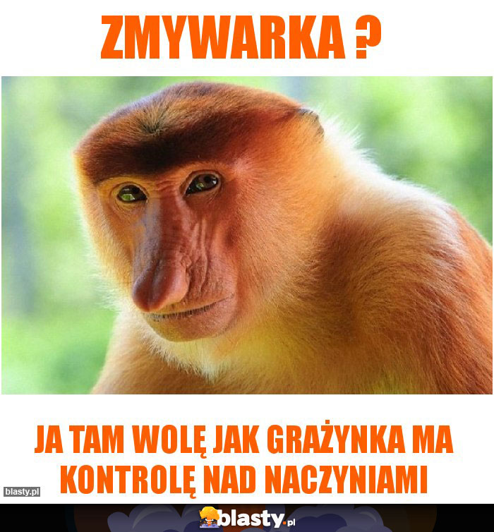 Zmywarka ?