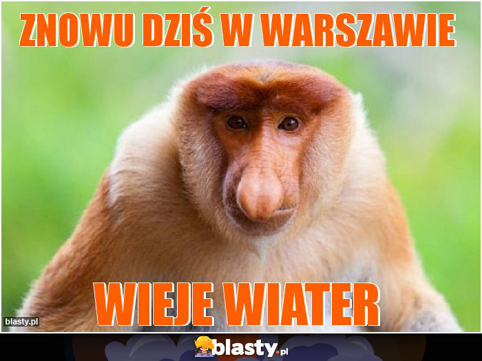 Znowu dziś w Warszawie