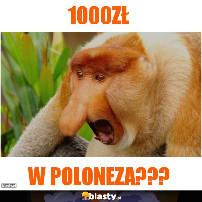 1000zł