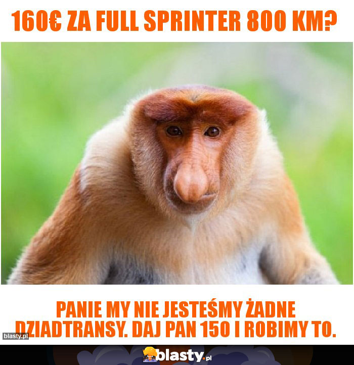 160€ za full sprinter 800 km?