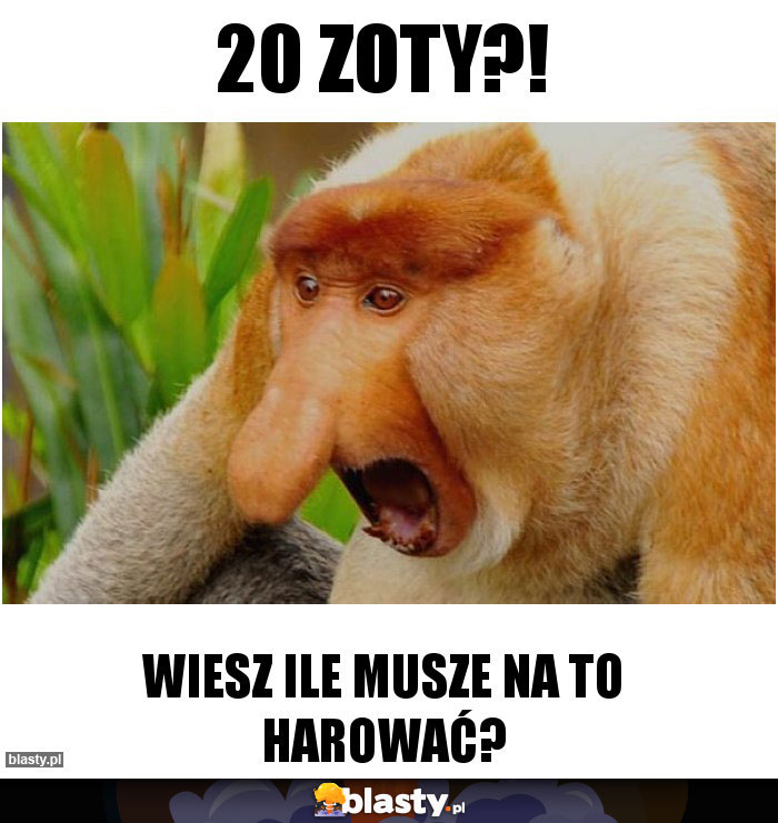 20 zoty?!