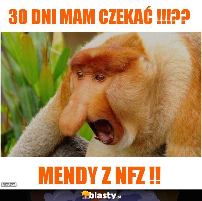30 dni mam czekać !!!??