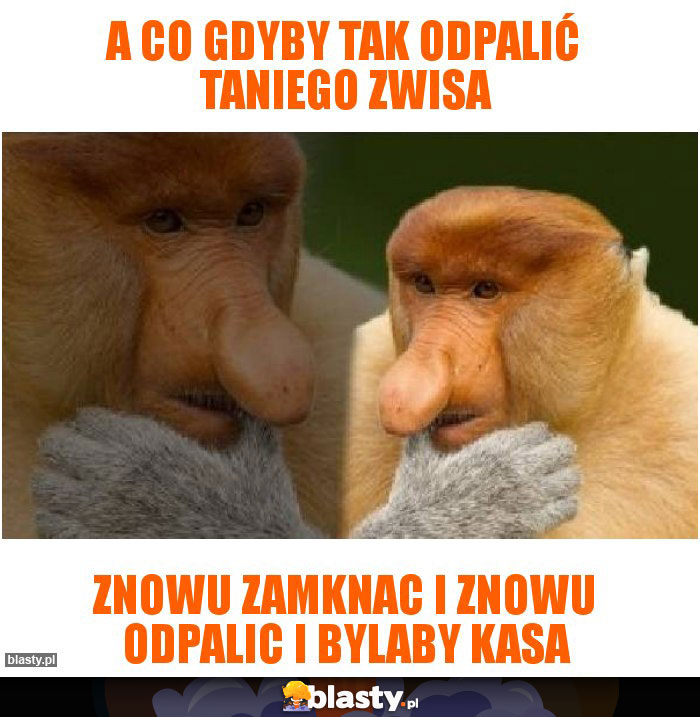A co gdyby tak odpalić taniego zwisa