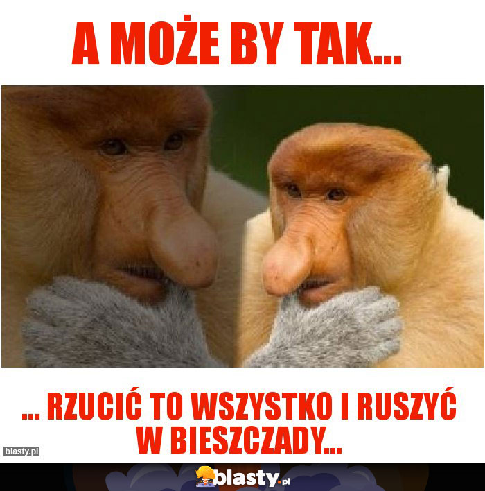 A może by tak...