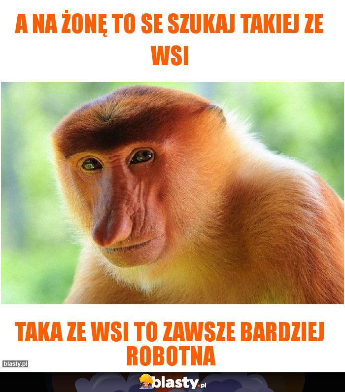 A na żonę to se szukaj takiej ze wsi