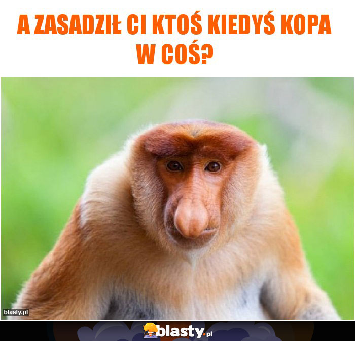 A zasadził ci ktoś kiedyś kopa w coś?