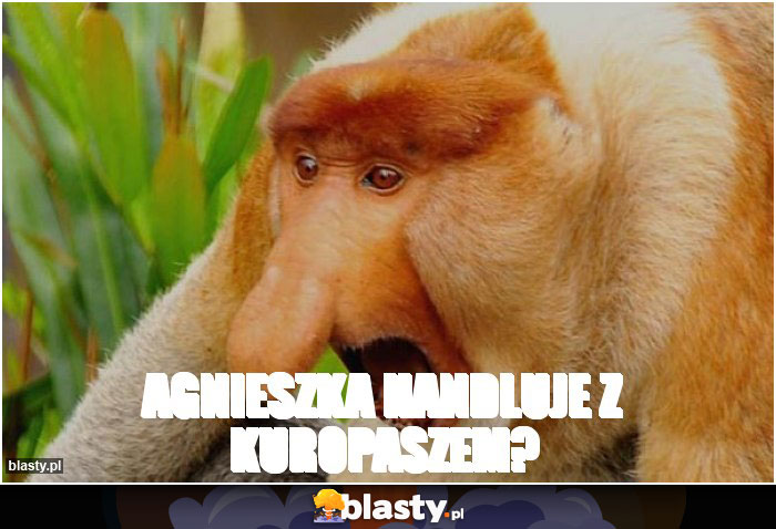 Agnieszka handluje z kuropaszem?