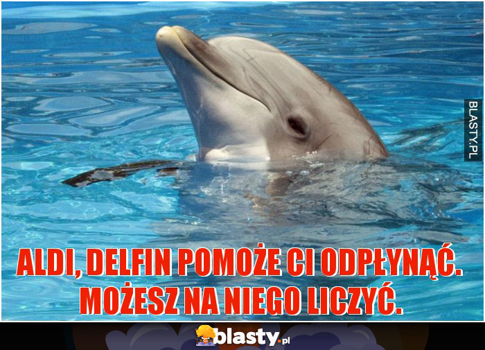 aldi, delfin pomoże ci odpłynąć. możesz na niego liczyć. aldi, delfin pomoże ci odpłynąć. możesz na niego liczyć.