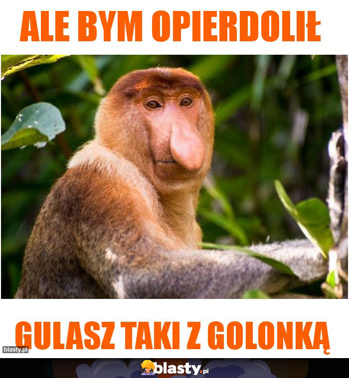 ALE BYM OPIERDOLIŁ