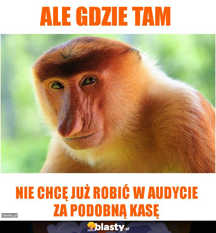 Ale gdzie tam