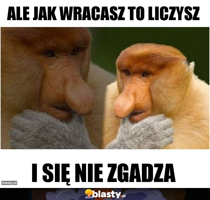 Ale jak wracasz to liczysz