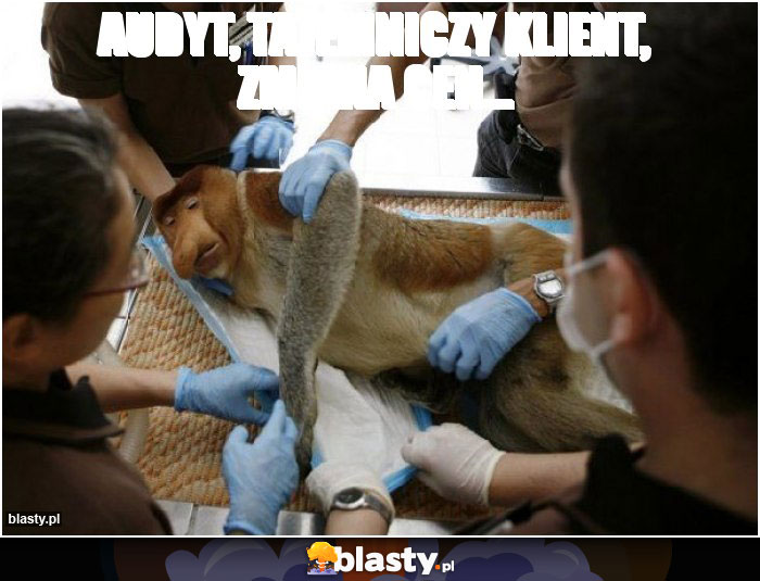 Audyt, tajemniczy klient, zmiana cen...