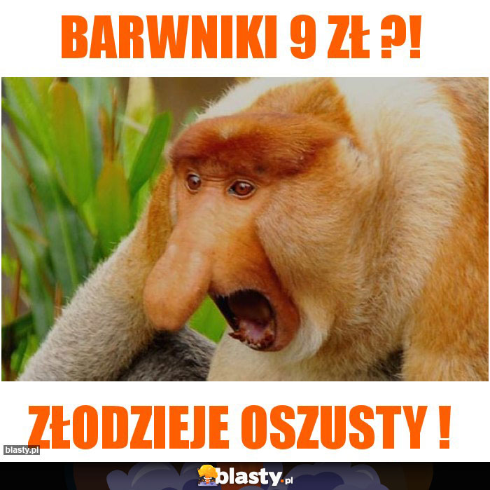 Barwniki 9 zł ?!