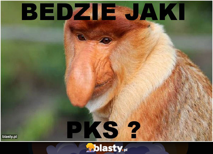 Bedzie jaki