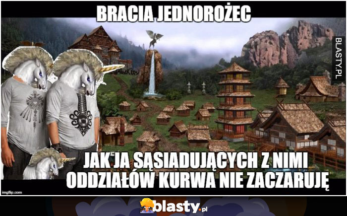 Bracia jednorożec