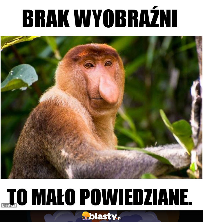 Brak wyobraźni