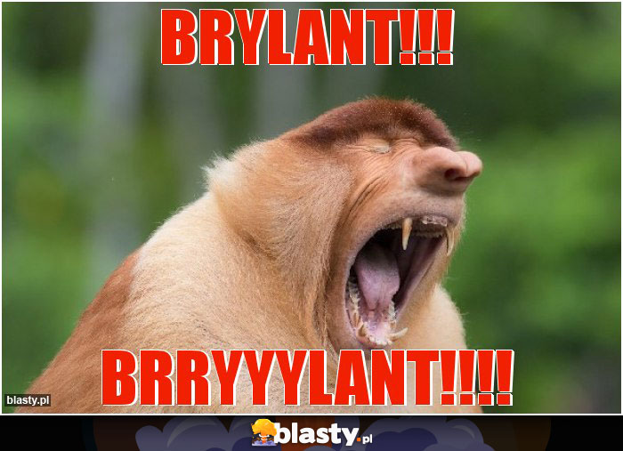 brylant!!!