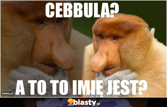 CEBBULA?