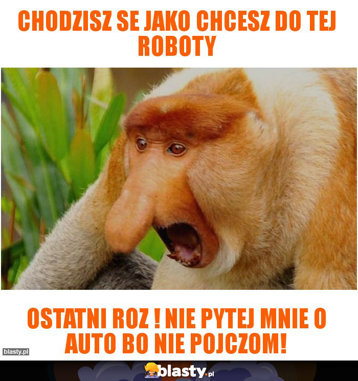 Chodzisz se jako chcesz do tej roboty
